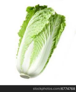 Chinese cabbage on white background