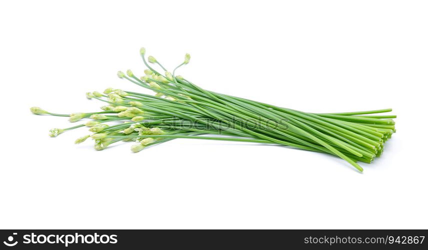 Chinese chives on white background