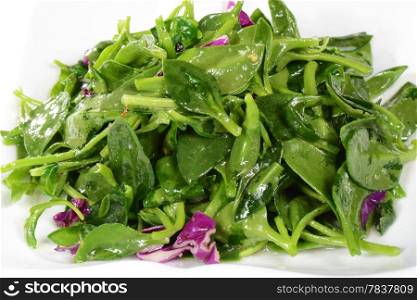 Chinese Food: Fried wild vegetables on a white background