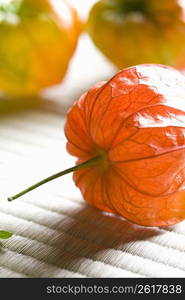 Chinese lantern plant