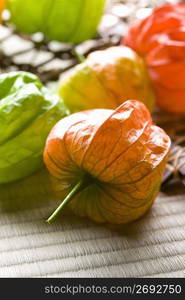 Chinese lantern plant