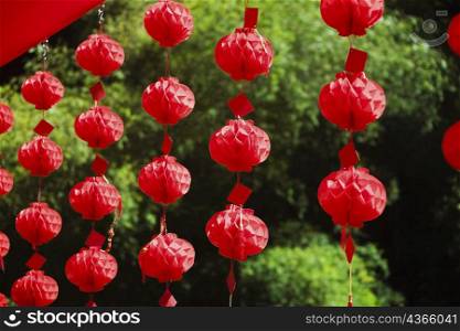 Chinese lanterns hanging in a row, Emerald Valley, Huangshan, Anhui Province, China