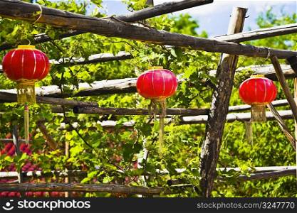Chinese lanterns hanging on a wooden post, Hohhot, Inner Mongolia, China