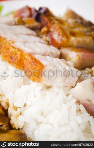 chinese style roasted pork with rice, popular in asian countries, picture taken in singapore.