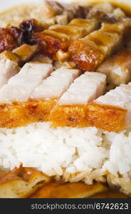 chinese style roasted pork with rice, popular in asian countries, picture taken in singapore.