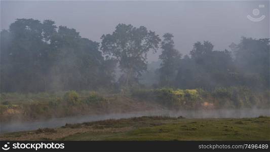 Chitwan National Park. is mainly covered by jungle.