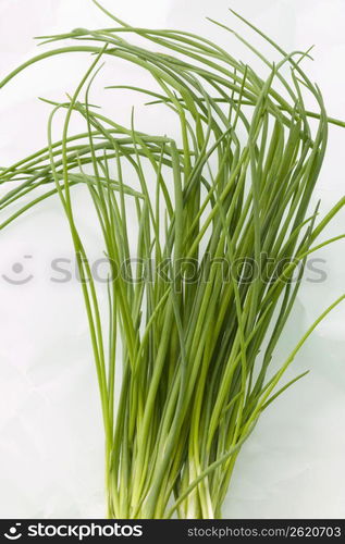 Chives