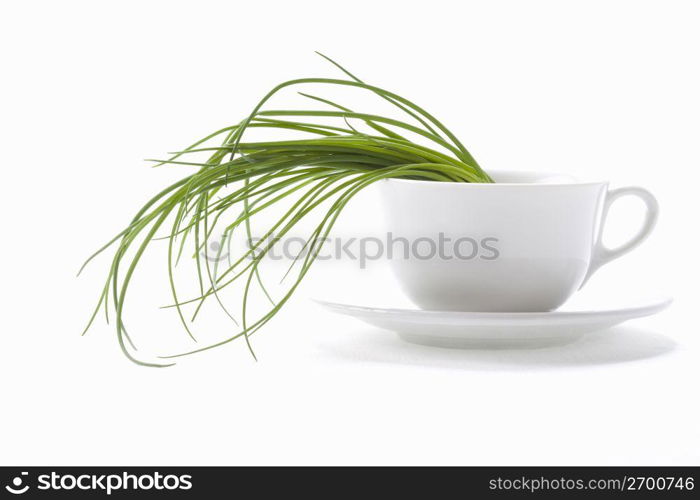 Chives