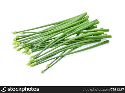 chives flower or chinese chive isolated on white background