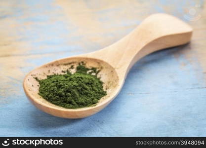 chlorella powder on wooden spoon against blue painted grunge wood