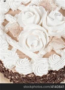 chocolate cake closeup isolated on a white