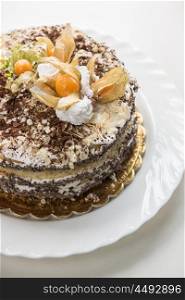 Chocolate cake with walnuts and physalis. cake with walnuts and physalis