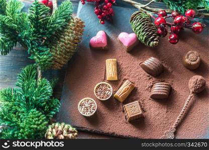 Chocolate candies with cocoa and Christmas tree branch