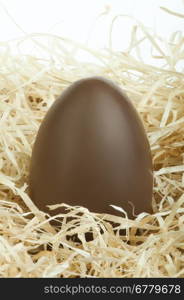 Chocolate Easter Egg in a bird&rsquo;s nest