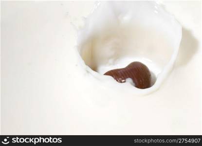 Chocolate heart and milk. Splash in a falling sweet in milk. The girl with a thermometer. A portrait close up