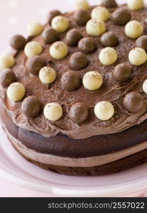 Chocolate Malteser Cake