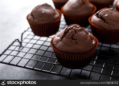 Chocolate muffins on dark background.