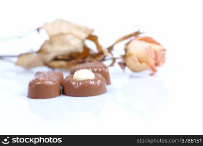 chocolate pralines and rose on white background. Delicious dark and milk chocolate pralines.