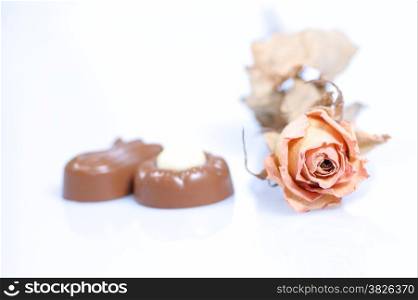 chocolate pralines and rose on white background. Delicious dark and milk chocolate pralines.