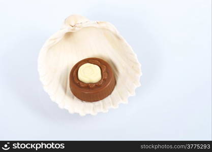 chocolate pralines and shells on white background. Delicious dark and milk chocolate pralines.