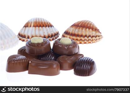 chocolate pralines and shells on white background. Delicious dark and milk chocolate pralines.