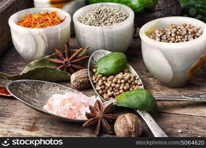 choice Indian spice. set of aromatic Indian spices and condiments on wooden retro background