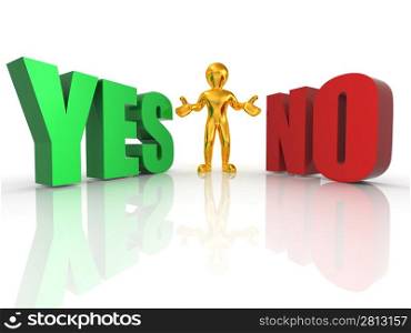 Choise YES or NO. 3d
