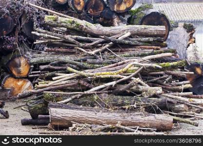 Chopped wood in stacks, under white sky, horizontal image