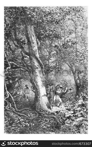 Chopping Down a Tree Using a Hand Axe in Oiapoque, Brazil, drawing by Riou from a sketch by Dr. Crevaux, vintage engraved illustration. Le Tour du Monde, Travel Journal, 1880