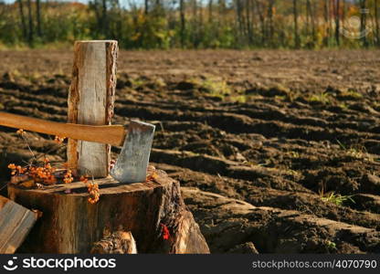 Chopping wood