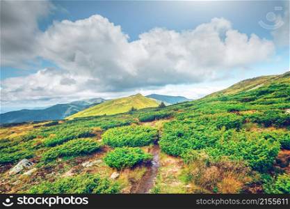 Chorna hora mountain range. Carpathian mountains. Ukraine. Mountain landscape in summer