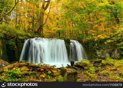 Choshi Otaki Waterfalls in the colorful foliage of autumn forest at Oirase Gorge in Towada Hachimantai National Park, Aomori Prefecture, Japan.