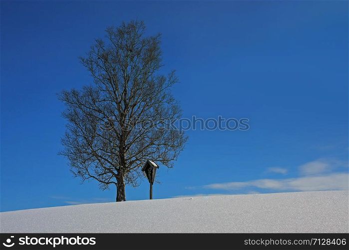 christian cross next to a tree on a hill in Bavaria, wintertime, in Bavaria called Marterl