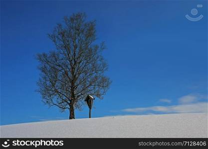 christian cross next to a tree on a hill in Bavaria, wintertime, in Bavaria called Marterl