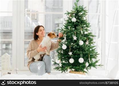 Christmas and New Year celebration. Happy housewife with broad smile, poses near decorated firtree with dog who smells bauble, pose against big window in modern apartment. Winter holidays concept