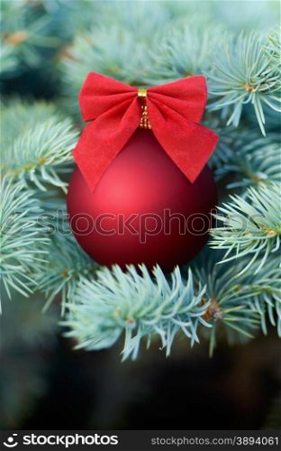 Christmas and New Year: red bauble decorated with bow on a blue fir tree, nice seasonal background