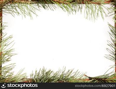 Christmas background of fir branches on a white background. Not isolated