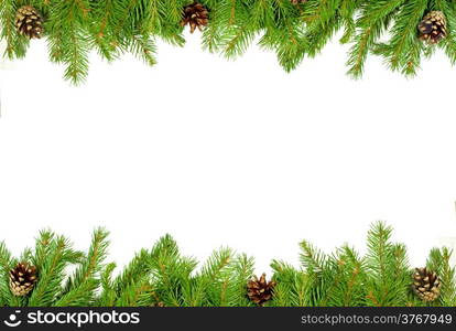 Christmas background with cones isolated on white