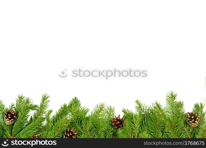 Christmas background with cones isolated on white