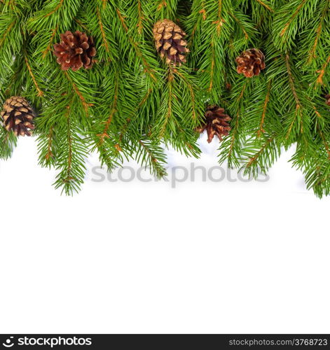 Christmas background with cones isolated on white