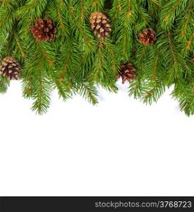 Christmas background with cones isolated on white