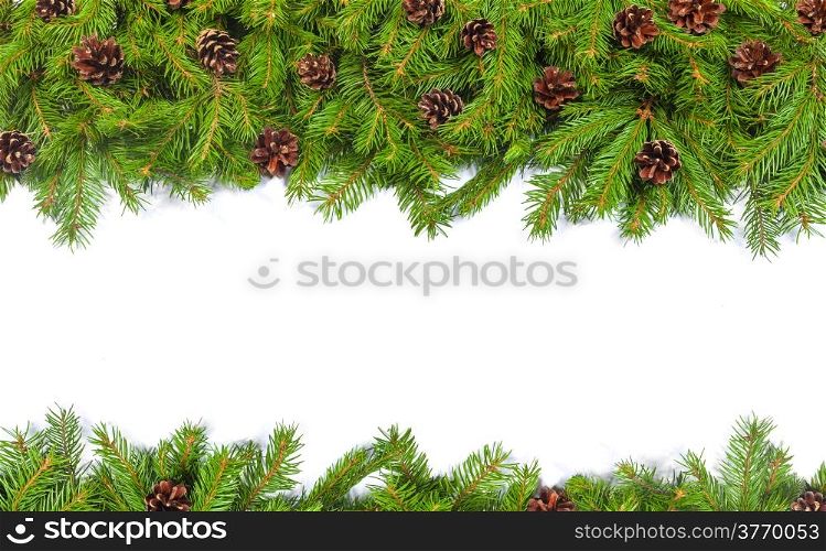 Christmas background with cones isolated on white