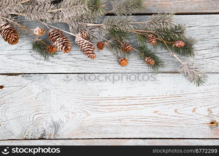 Christmas background with fir branches