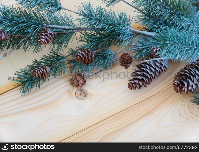 Christmas background with fir branches