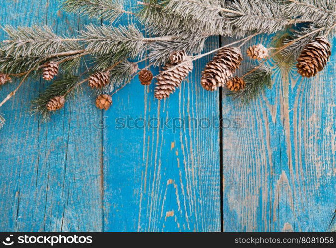 Christmas background with fir branches