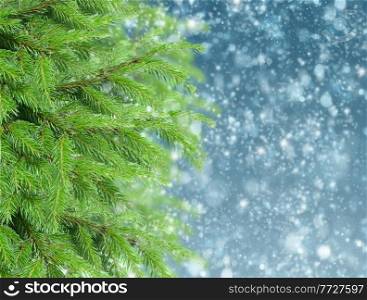 christmas background with fir tree and snow