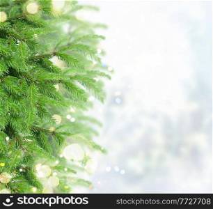 christmas background with fir tree, bokeh lights and snow. with fir tree and snow