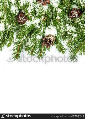 Christmas background with snow, and cones isolated on white