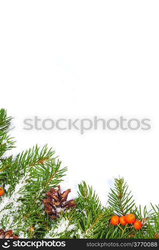 Christmas background with snow, cones and holly berry isolated on white