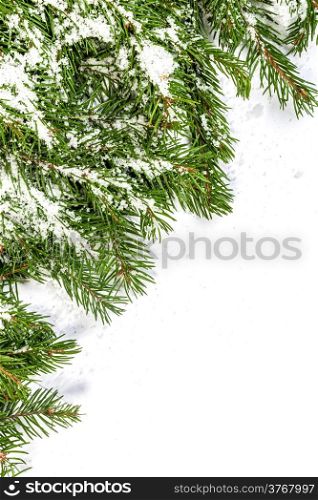 Christmas background with snow isolated on white